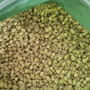 Specialty Excelsa Green Beans