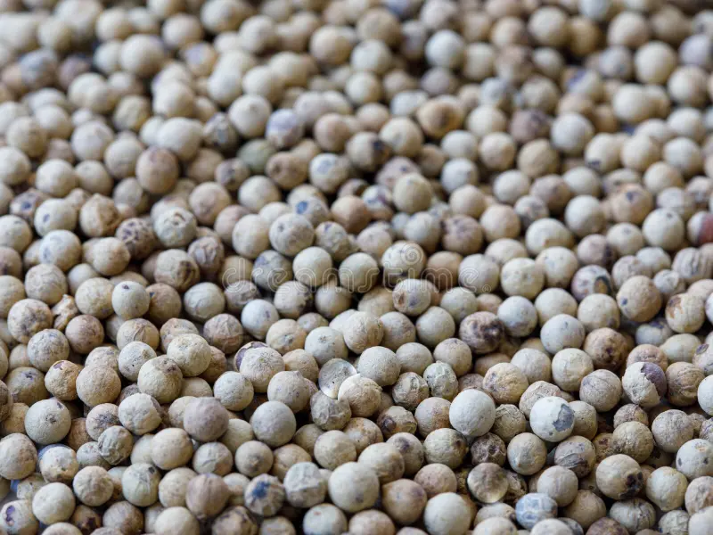 White Pepper